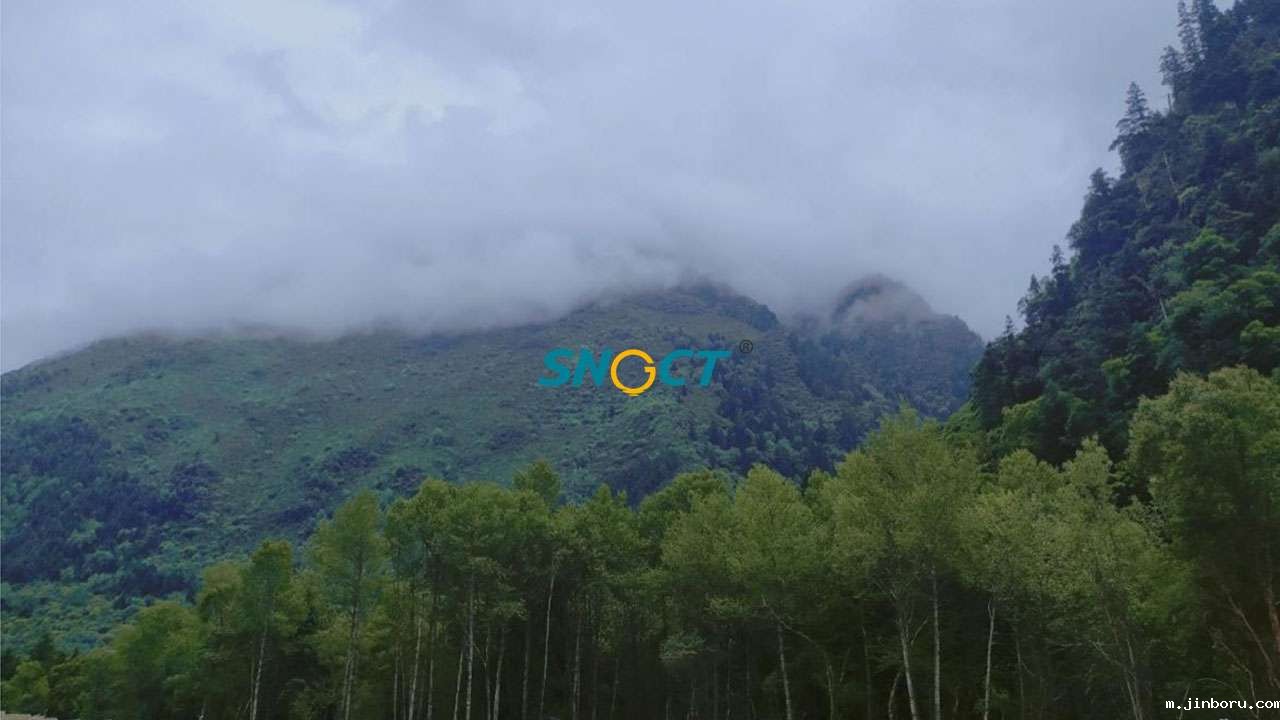 景区政府如何用好短视频